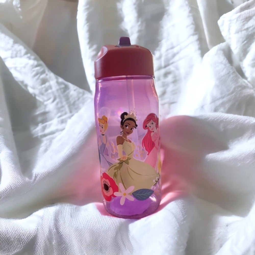 Licensed Disney Princess Sip Bottles, 16 oz.